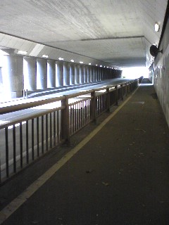 tunnel-2.JPG